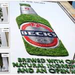 becks1
